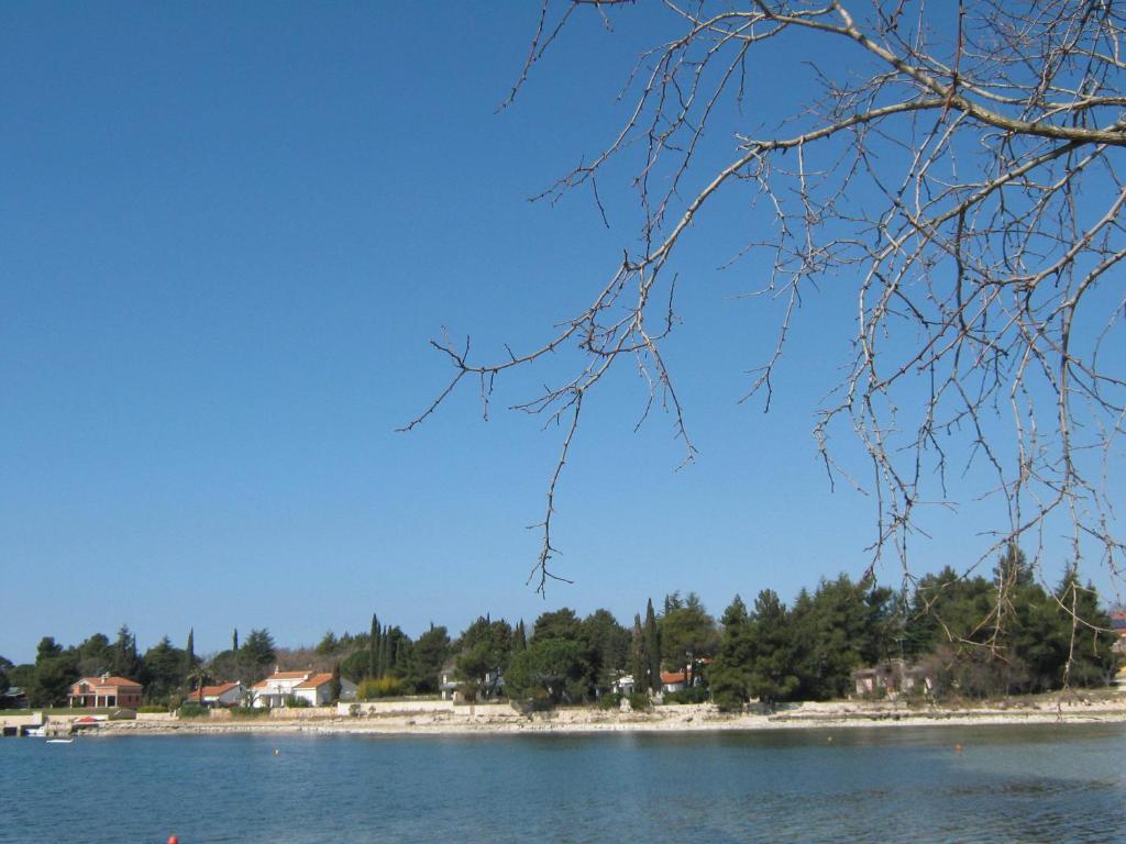Apartments Spert Umag Exterior photo